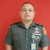 Peltu Hartono